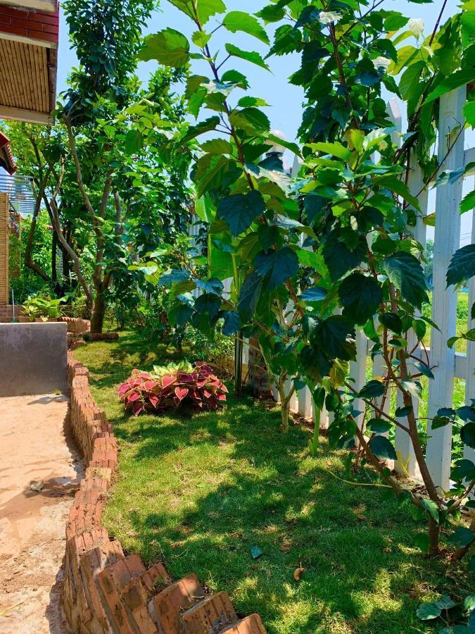 Tam Coc Mandala Villa & Homestay Ninh Binh Eksteriør billede