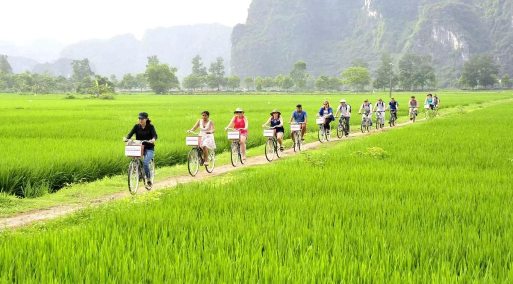 Tam Coc Mandala Villa & Homestay Ninh Binh Eksteriør billede